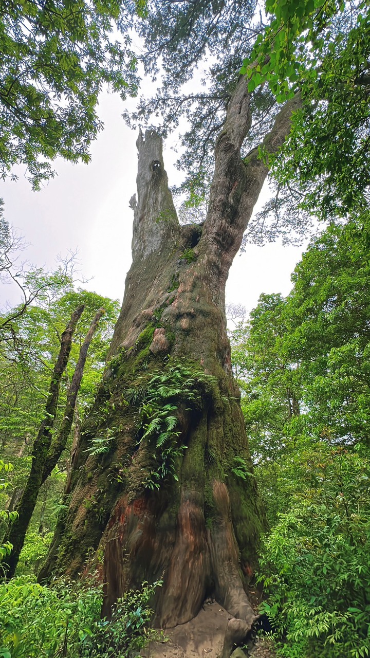 平日到北得拉曼露營區露營(外加登山行程)