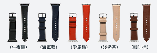 APPLE WATCH 支援悠遊卡 錶帶 不專業分享