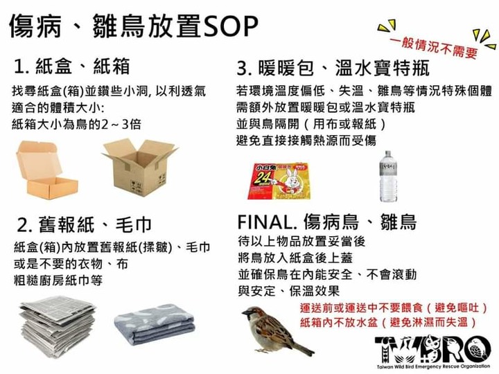 撿到幼鳥 (已送動物醫院)