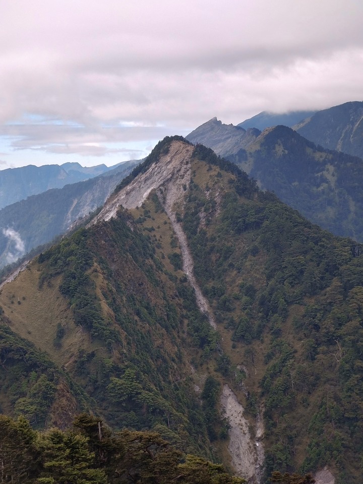 [問路]關山嶺山途中的叉路通哪？