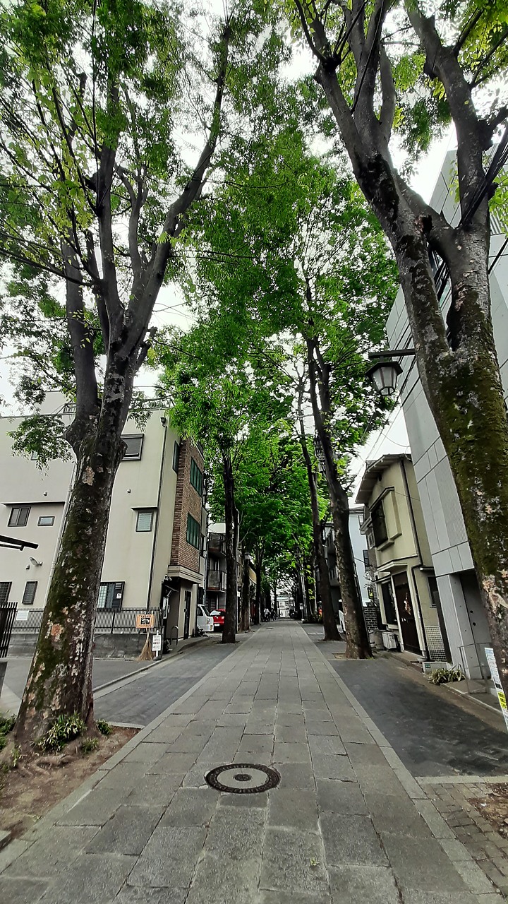2023 日本東京 8天7夜 (2023/4/23 ~ 4/30) 4/24 第二天 都電荒川電車線+巢鴨商店街+鬼子母神堂+早稻田大學