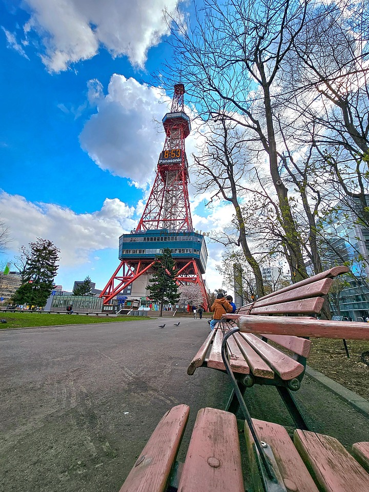 帶著 S23 Ultra 北海道賞櫻
