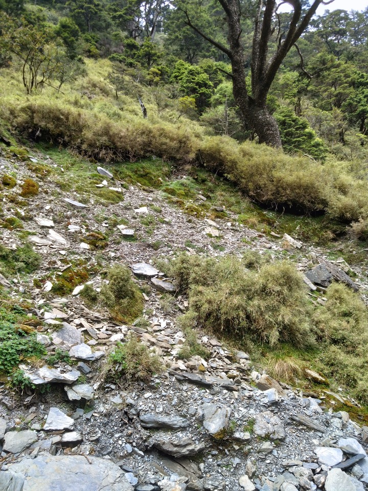 [問路]關山嶺山途中的叉路通哪？