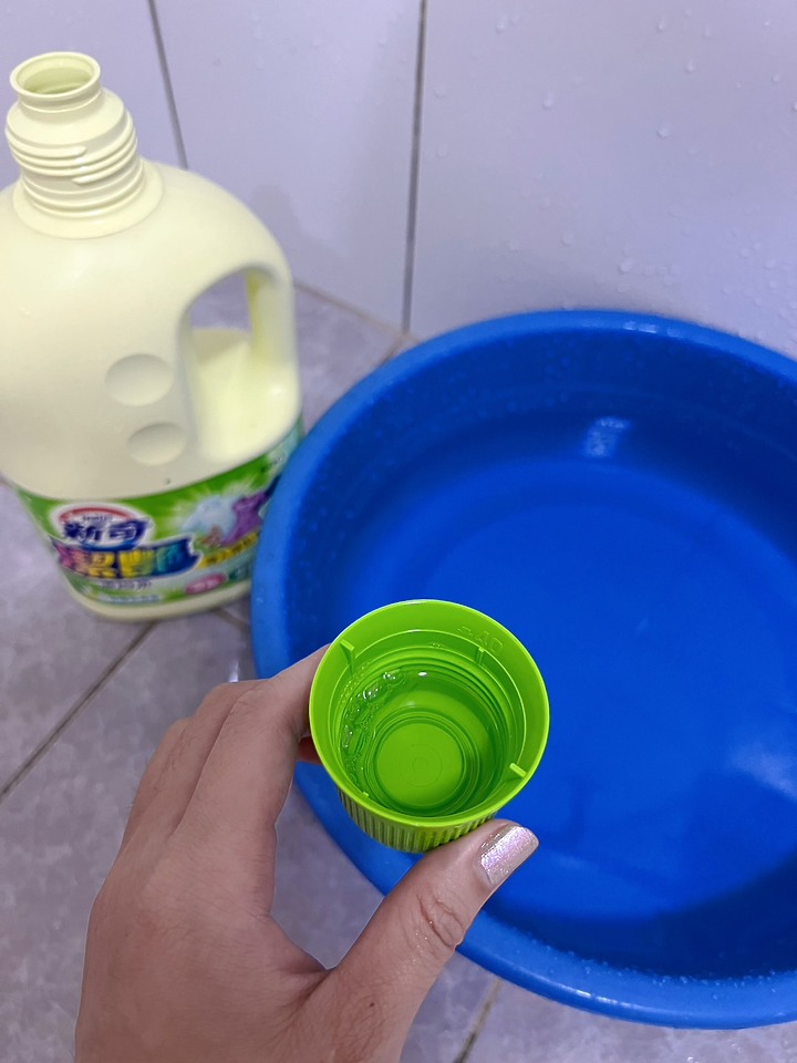 夏天蛾蚋、德國蟑螂狂飛超擾人