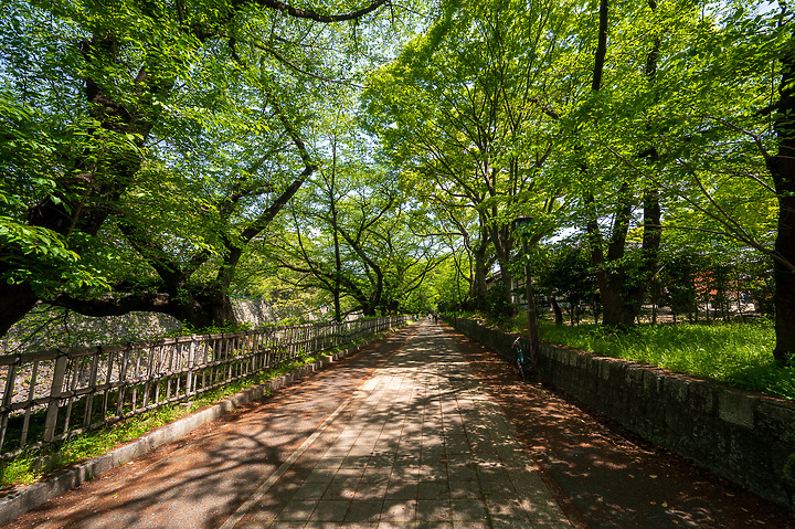 Z6II鏡頭蓋遊名古屋&京都[Z 14-30mm f/4 S]