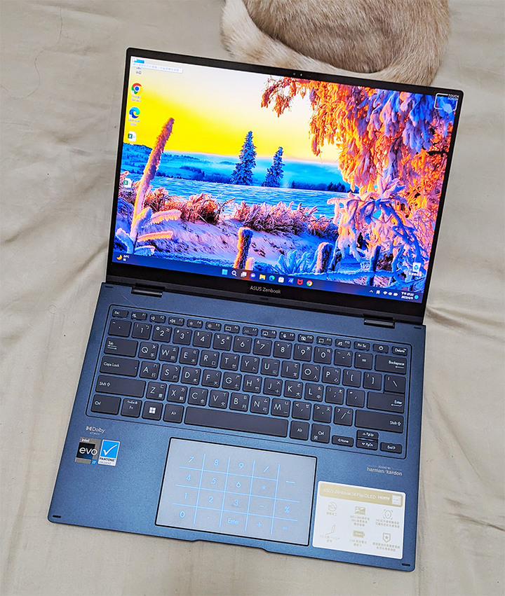 Zenbook Flip 14 OLED (UP3404VA)試用