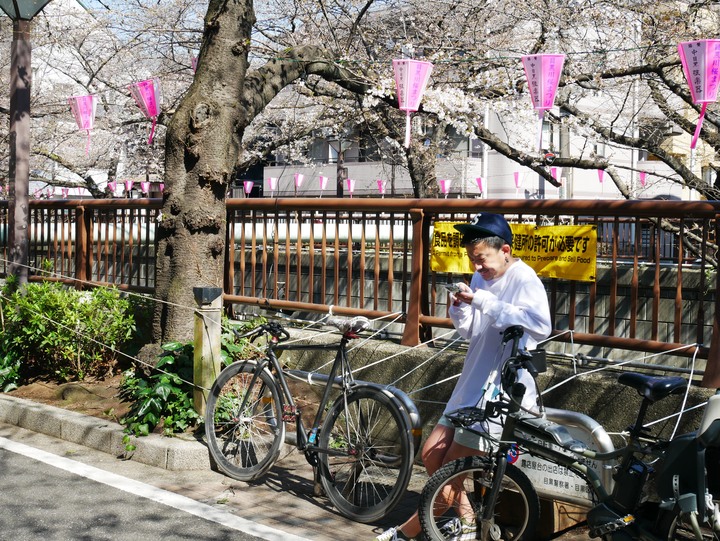 2023日本東京賞櫻順便看看東京的腳踏車們
