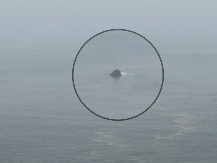 最美國之北疆-東引島(尋找藍眼淚)下集