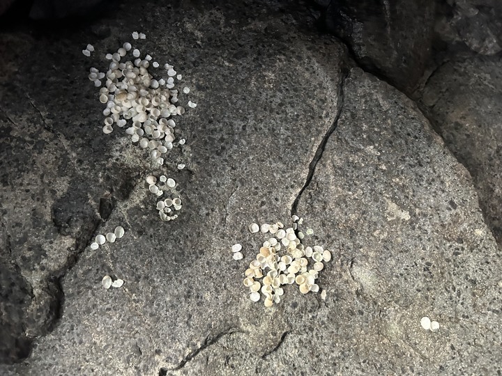 沒有雨的基隆(嶼)登島健行記