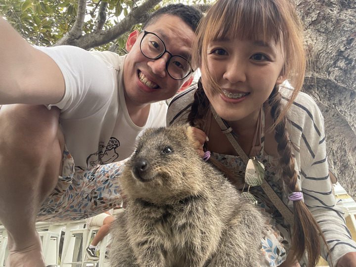 2023西澳遊記|一起自拍吧! 短尾矮袋鼠Quokka in 羅特尼斯島