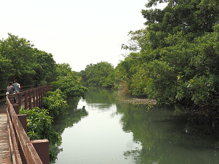 北投 中心新村與舊雙溪河步道 — 全臺唯一溫泉軍醫系統眷村，附掛市區內大片青翠稻田