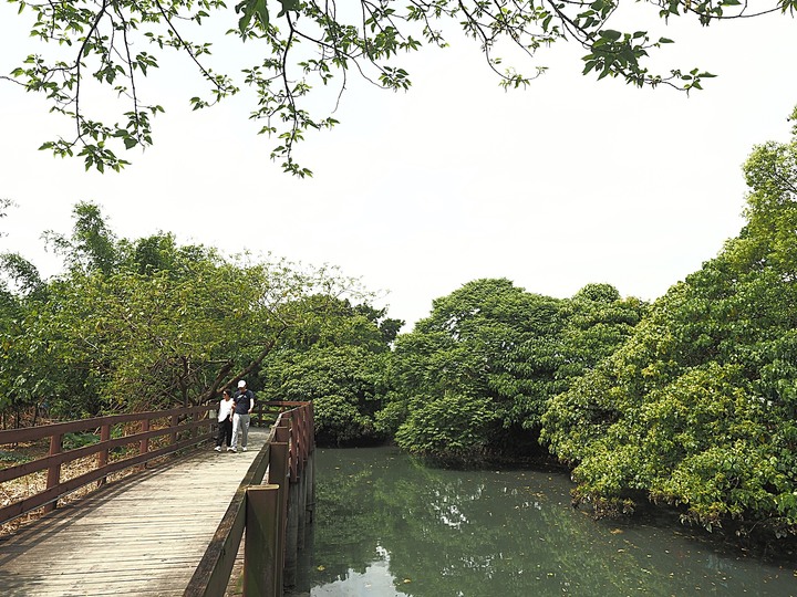 北投 中心新村與舊雙溪河步道 — 全臺唯一溫泉軍醫系統眷村，附掛市區內大片青翠稻田