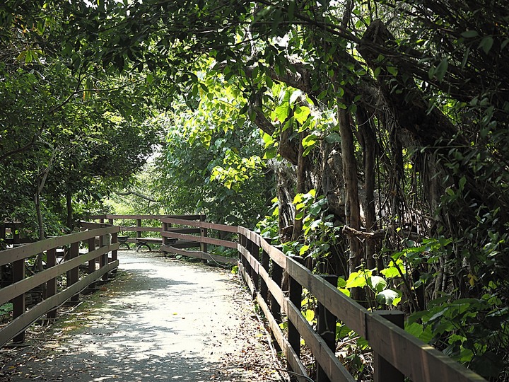 北投 中心新村與舊雙溪河步道 — 全臺唯一溫泉軍醫系統眷村，附掛市區內大片青翠稻田
