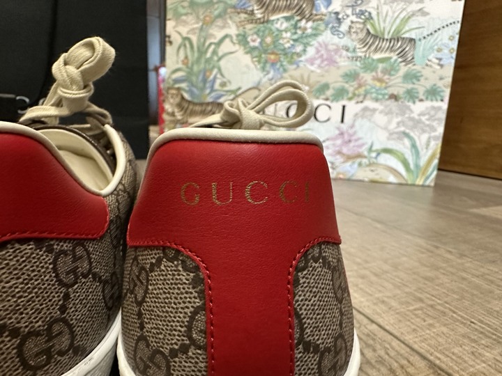 「開箱」GUCCI TIGER sneakers