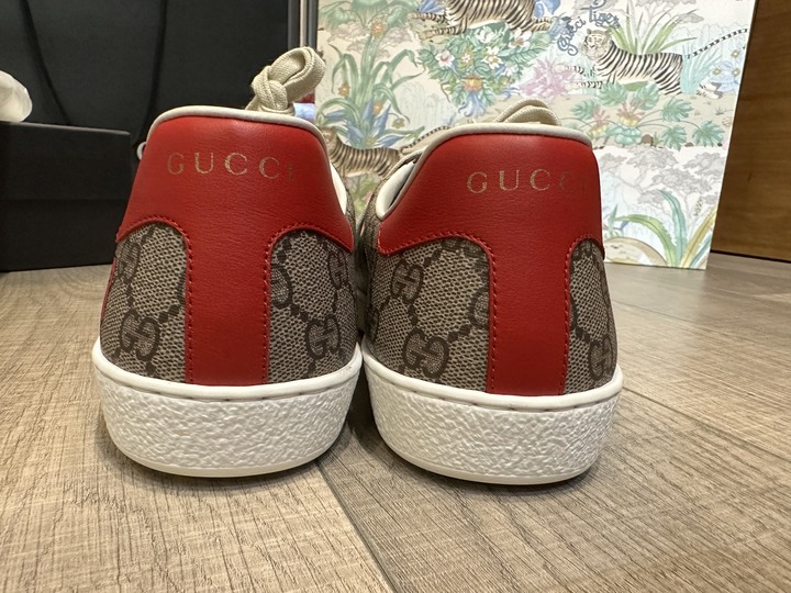 「開箱」GUCCI TIGER sneakers