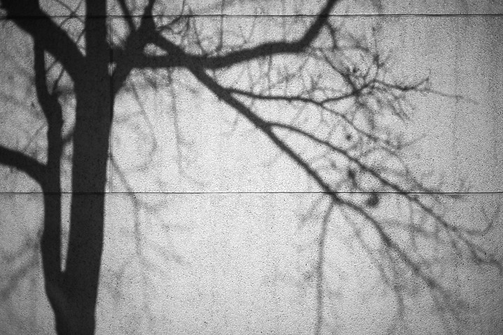 『分享』2023年我入了底片坑！！ 旁軸測距相機的原點 LEICA M3