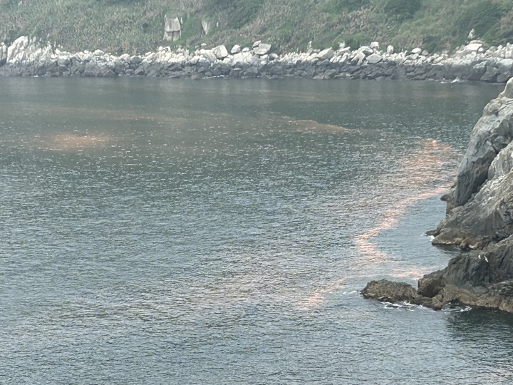 最美國之北疆-東引島(尋找藍眼淚)下集
