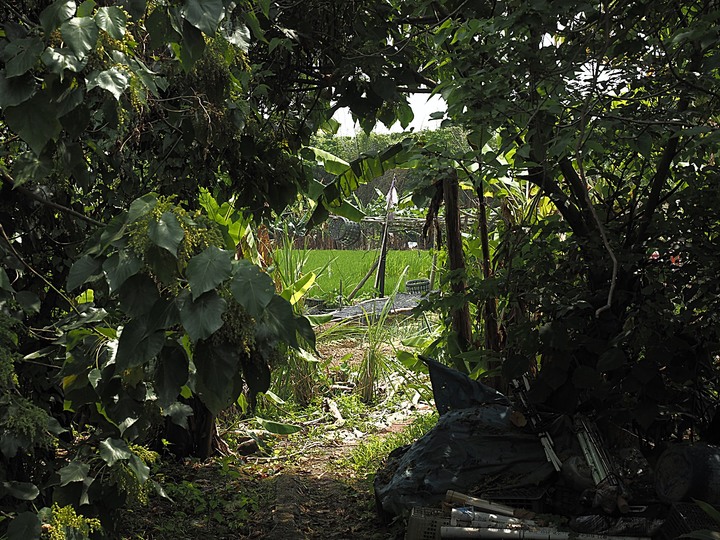 北投 中心新村與舊雙溪河步道 — 全臺唯一溫泉軍醫系統眷村，附掛市區內大片青翠稻田