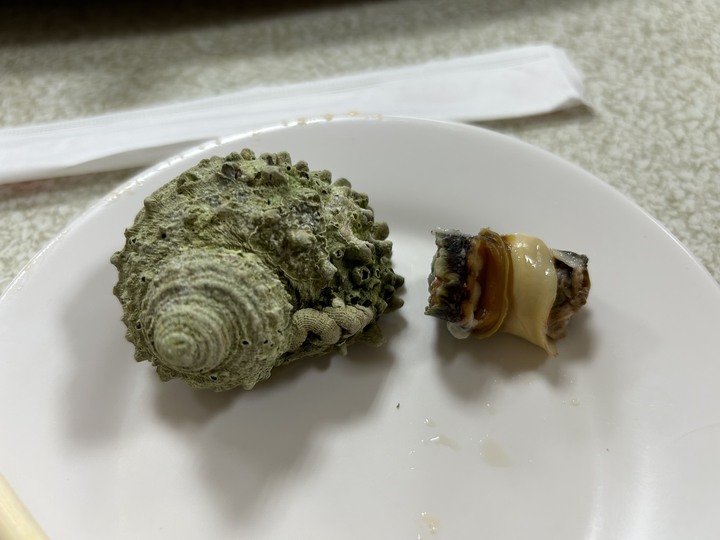 最美國之北疆-東引島(尋找藍眼淚)下集