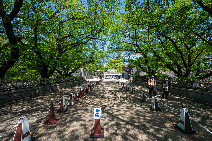 Z6II鏡頭蓋遊名古屋&京都[Z 14-30mm f/4 S]