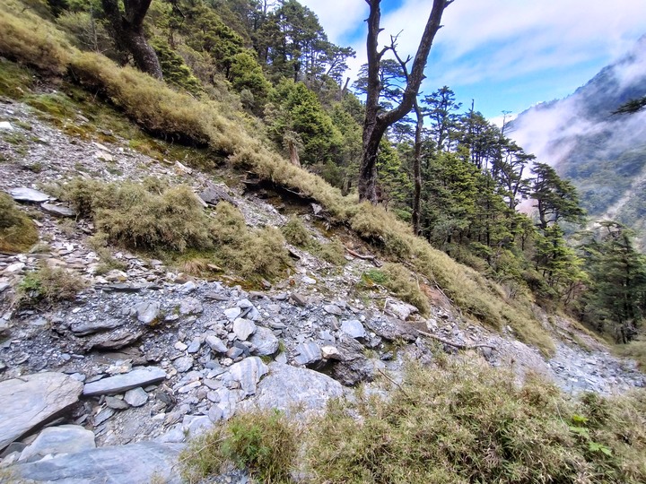 [問路]關山嶺山途中的叉路通哪？