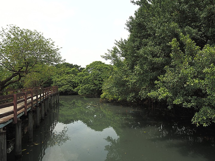北投 中心新村與舊雙溪河步道 — 全臺唯一溫泉軍醫系統眷村，附掛市區內大片青翠稻田