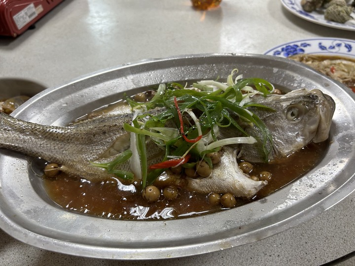 最美國之北疆-東引島(尋找藍眼淚)下集