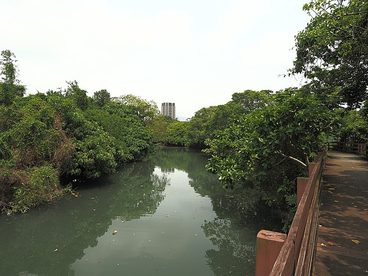 北投 中心新村與舊雙溪河步道 — 全臺唯一溫泉軍醫系統眷村，附掛市區內大片青翠稻田