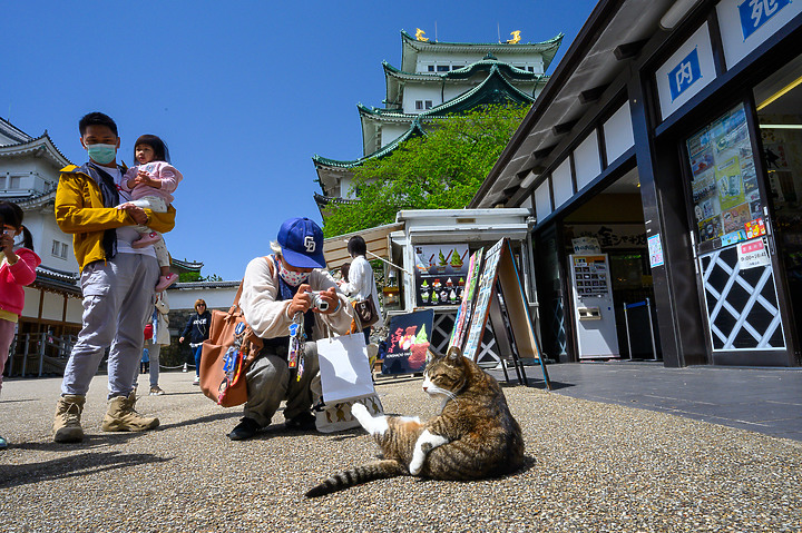 Z6II鏡頭蓋遊名古屋&京都[Z 14-30mm f/4 S]