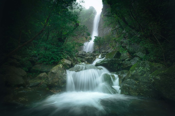 【Z6II & D610】一個高中生的風景攝影旅程