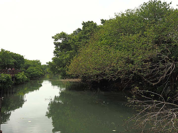 北投 中心新村與舊雙溪河步道 — 全臺唯一溫泉軍醫系統眷村，附掛市區內大片青翠稻田
