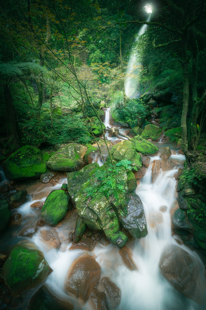 【Z6II & D610】一個高中生的風景攝影旅程