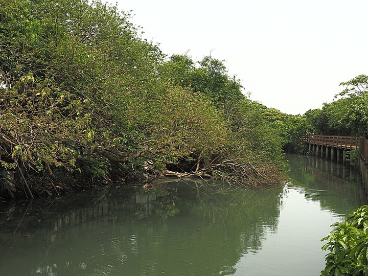 北投 中心新村與舊雙溪河步道 — 全臺唯一溫泉軍醫系統眷村，附掛市區內大片青翠稻田