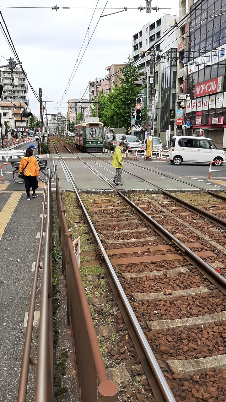 2023 日本東京 8天7夜 (2023/4/23 ~ 4/30) 4/24 第二天 都電荒川電車線+巢鴨商店街+鬼子母神堂+早稻田大學