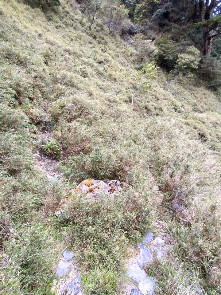 [問路]關山嶺山途中的叉路通哪？