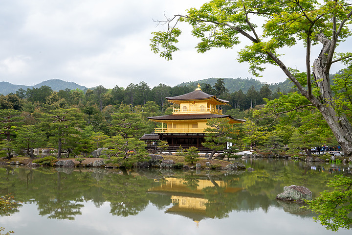 Z6II鏡頭蓋遊名古屋&京都[Z 14-30mm f/4 S]