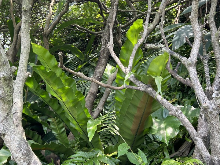 沒有雨的基隆(嶼)登島健行記