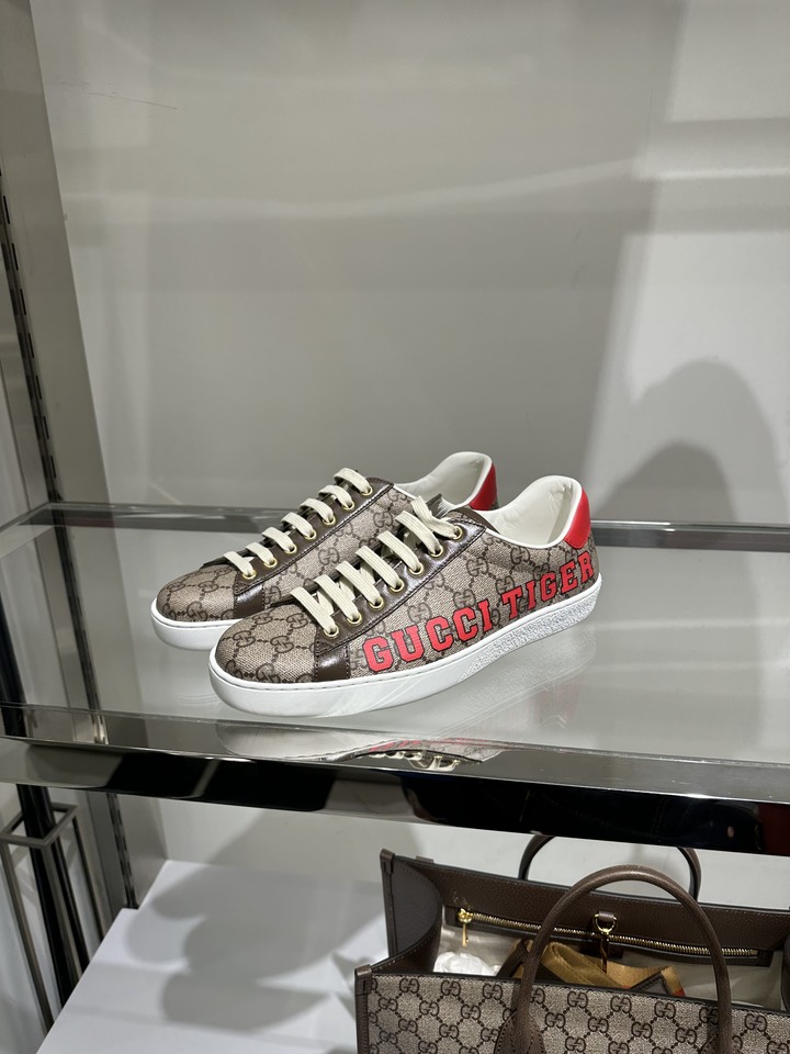 「開箱」GUCCI TIGER sneakers
