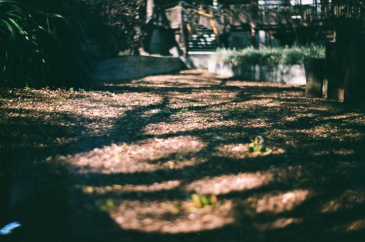 『分享』2023年我入了底片坑！！ 旁軸測距相機的原點 LEICA M3