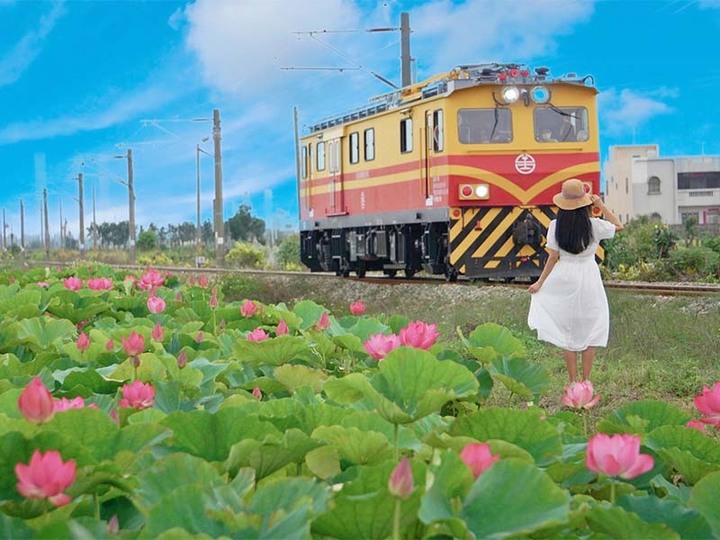 夏日海線美景亮相!苗栗「荷花鐵道」唯美景緻鐵道迷必收!
