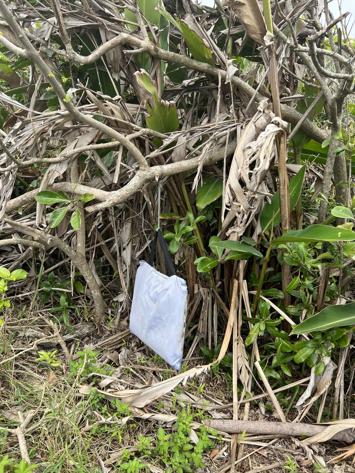 阿塱壹古道 (琅嶠卑南古道)