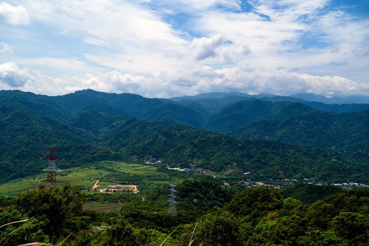 【2023土城桐花祭】天上山賞桐花的小百岳｜環形路線