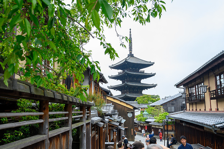Z6II鏡頭蓋遊名古屋&京都[Z 14-30mm f/4 S]