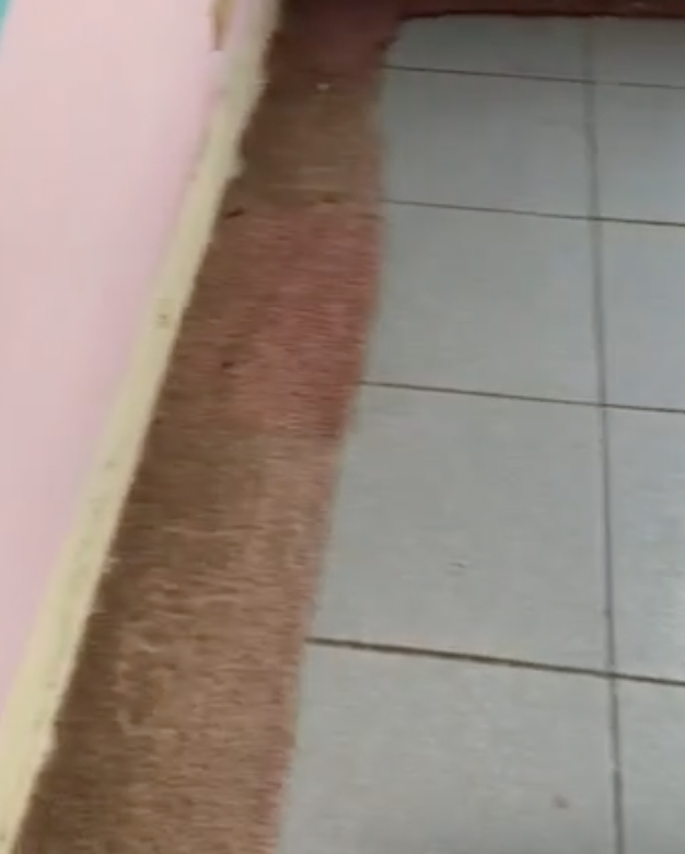 請問一下 地毯要如何去除