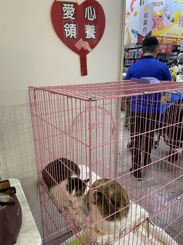 台中寵物展_第一天逛展心得