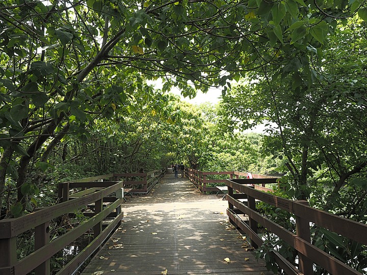 北投 中心新村與舊雙溪河步道 — 全臺唯一溫泉軍醫系統眷村，附掛市區內大片青翠稻田