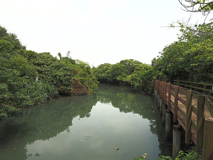 北投 中心新村與舊雙溪河步道 — 全臺唯一溫泉軍醫系統眷村，附掛市區內大片青翠稻田