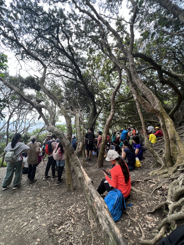 阿塱壹古道 (琅嶠卑南古道)