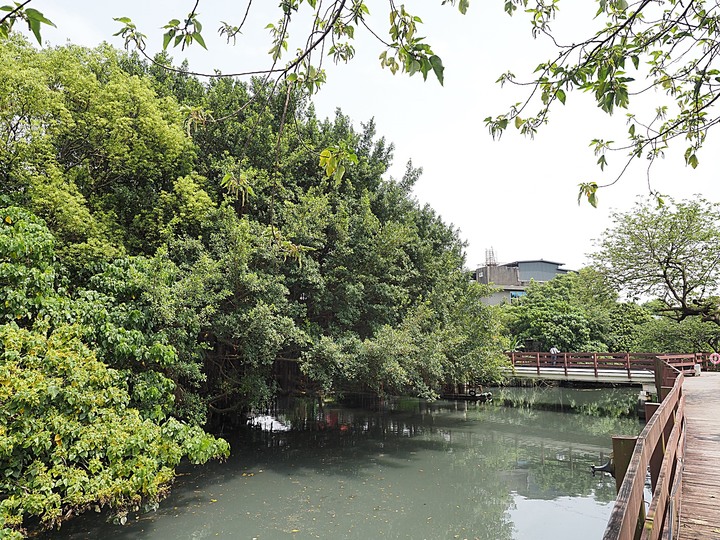 北投 中心新村與舊雙溪河步道 — 全臺唯一溫泉軍醫系統眷村，附掛市區內大片青翠稻田