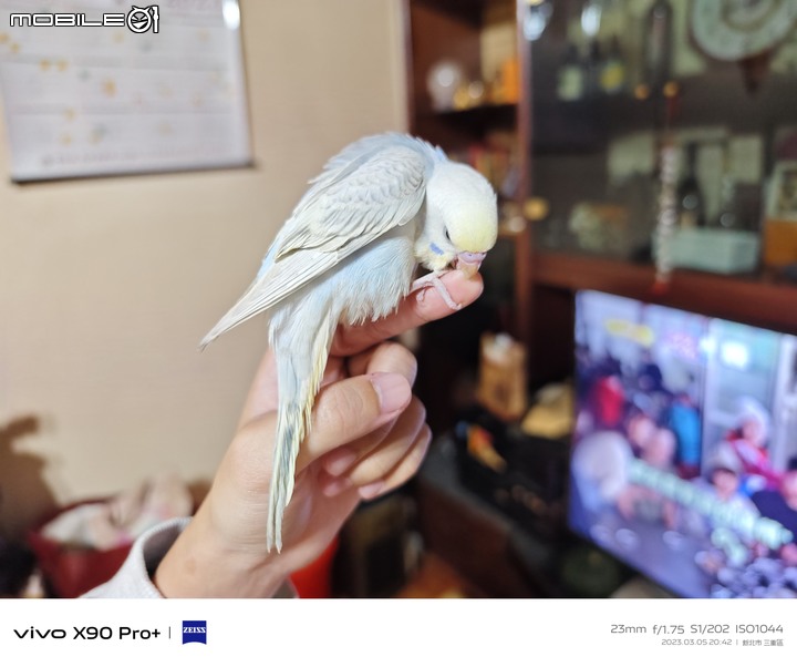 vivo X90Pro+ 入手三個月心得(多圖)